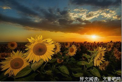 生疏的语句摘抄_关于生疏的语句