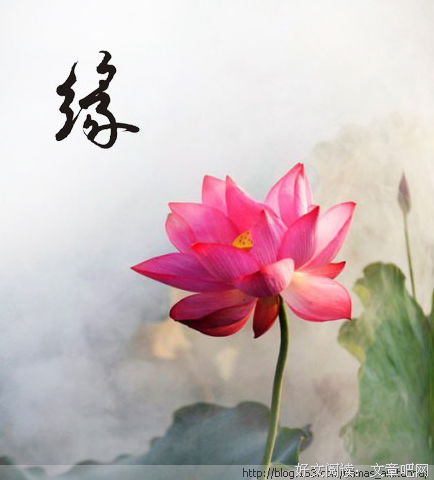 最全的abao15句经典名言