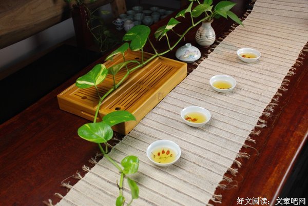 最新的《青藤之凉》经典句子