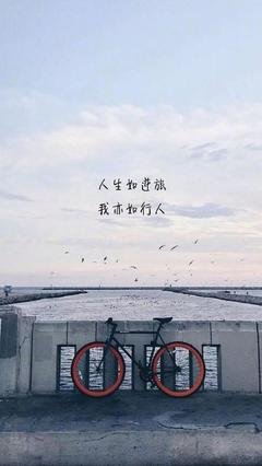 最全的《你只是看起来很努力》经典句子