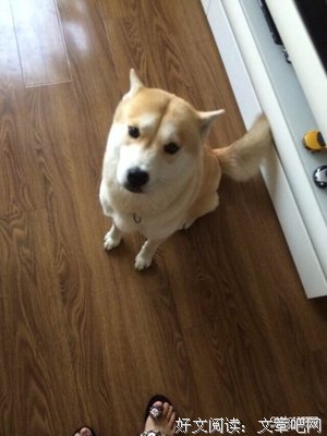 JD街坊 | 男生打伞到底娘不娘？