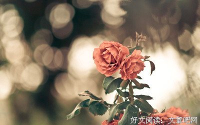 最经典的《从你的全世界路过》语录摘抄