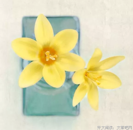 赏读丨愿你出走半生，归来仍有童心