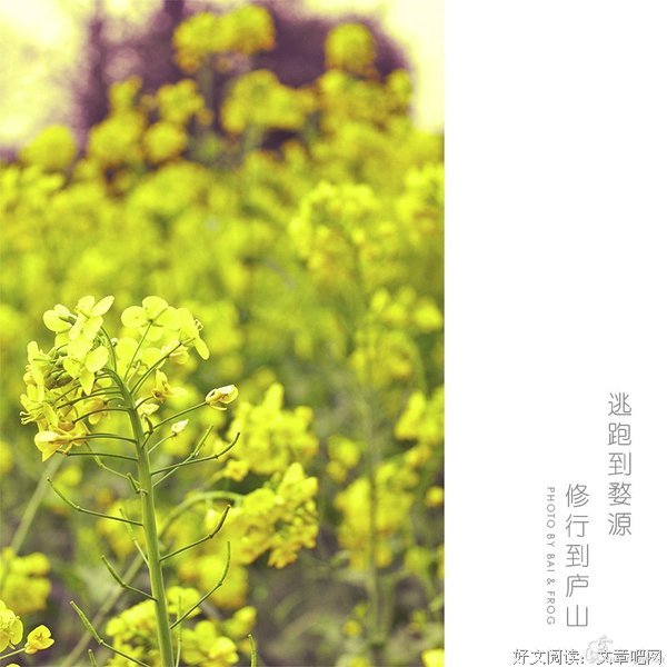 陶渊明：内心的宁静，就是最好的修行
