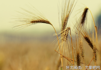 最经典的《每次想你都心痛》语录摘抄
