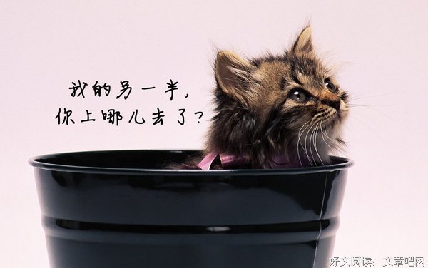 最经典的《犬附少女》经典语句