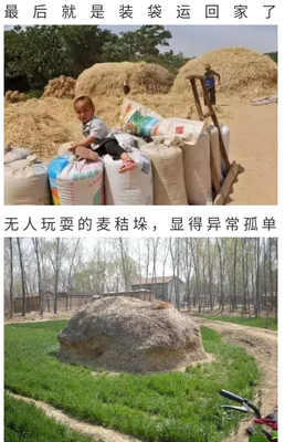▼ 20年前割麦的童年！看哭了……
