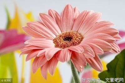 心理测试：你喜欢哪一个颜色的灯泡？测你接下来会有什么好运！
