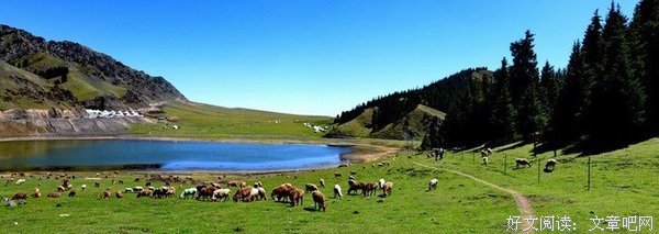 八道湾十一号读后感精选10篇