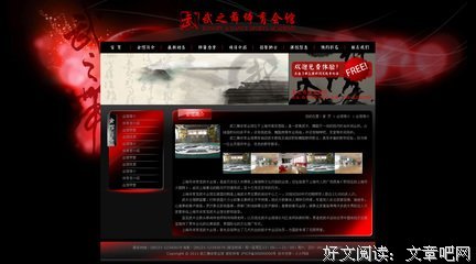 《武之舞》观后感10篇