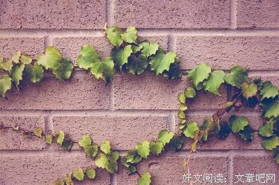 为什么你挤不进比你厉害的圈子？