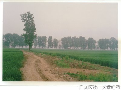 苇岸的名人名言