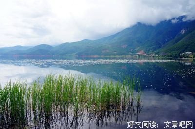 《世间所有相遇都是久别重逢》经典句子