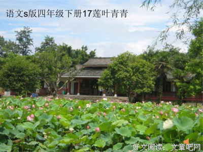 描写小荷才露尖尖角的经典句子