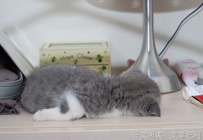 十年后，90后再次成为非主流