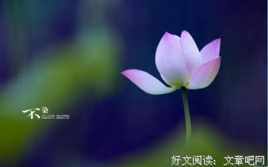 一个奇上加奇的事情！