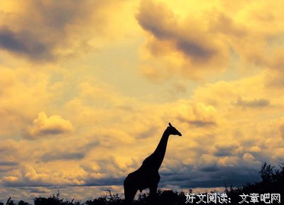 你怎么过一天，就怎么过一生