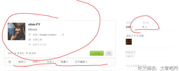 《冒充者》经典观后感集