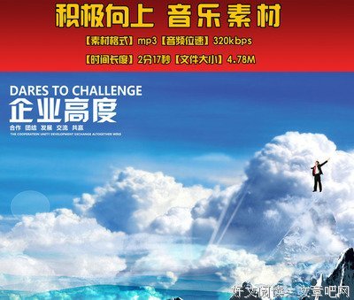 关于张震岳的语句