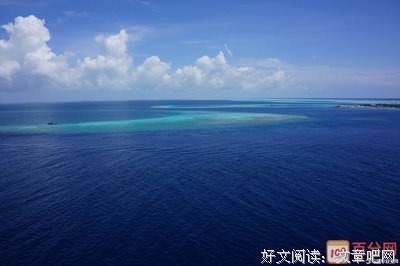描写见怪不怪的经典句子