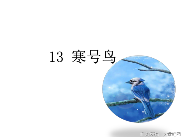 莫做属灵的“寒号鸟”（为你诵读）