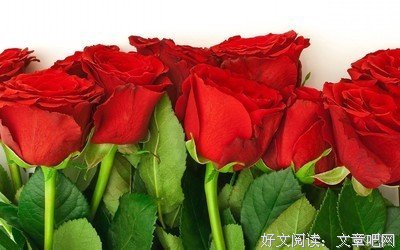 微信上，女人心里越爱你，越会给你发这四个信息！