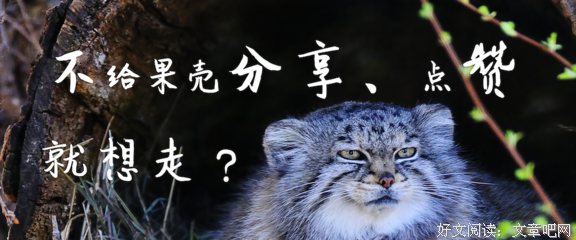 对法医学的探究，我们也可以不仅仅停留在日剧