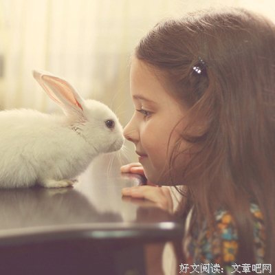有关花落花开的美句摘抄
