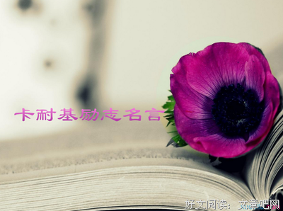 卡耐基的名言_关于卡耐基的名言