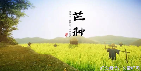 芒种 ：人生，种好才能收好