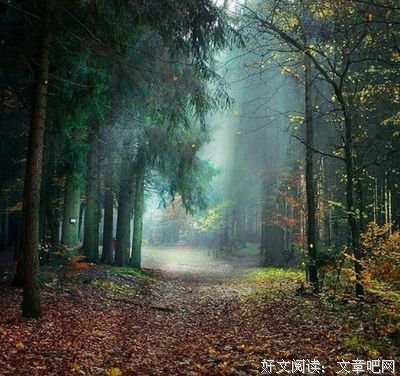 心理测试：4条金项链，你会买哪条？测你什么时候能成为人上人？