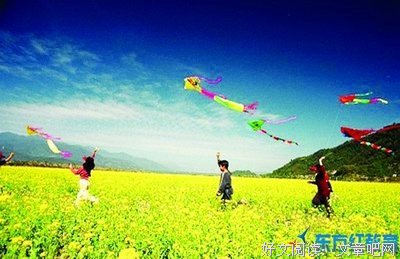 《我只能短暂地陪你一辈子》读后感10篇