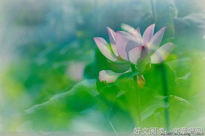 痛过才懂坚强，傻过才会成长