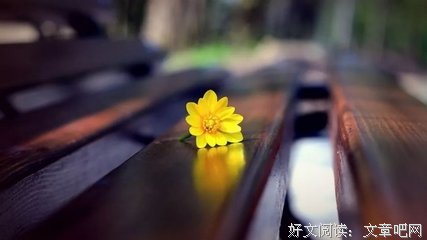 这辈子，你必须要有这4个情人