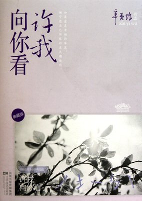 最经典的《许我向你看》经典的句子