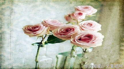 最经典的《有美一朵，向晚生香》经典句子