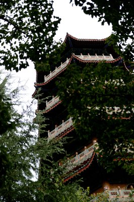 最全的《将夜》小说句子