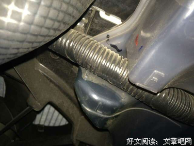 关于笨笨的语句