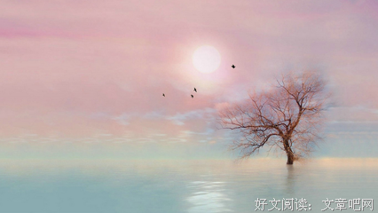 基督徒父母如何与孩子一起经历高考（为你诵读）
