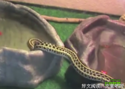 我爱的男人经常玩失踪，爱我的男人我不爱，我该怎么选择？