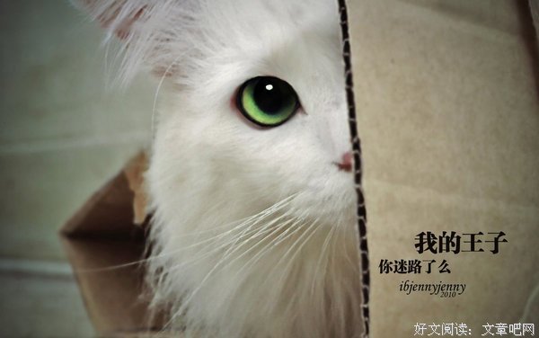 盈风经典语录