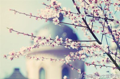 关于埋头苦干的格言