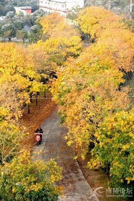 关于雨田的座右铭