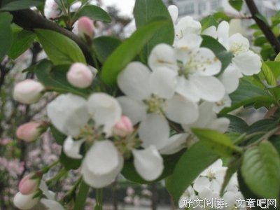 儿子，你应该早点告诉妈妈你是同性恋丨人间