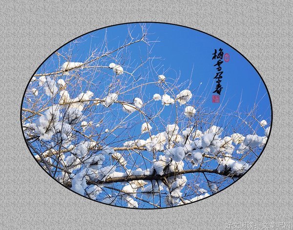 关于梅雪的名言