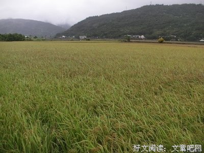 笑一个吧功成名就不是目的。