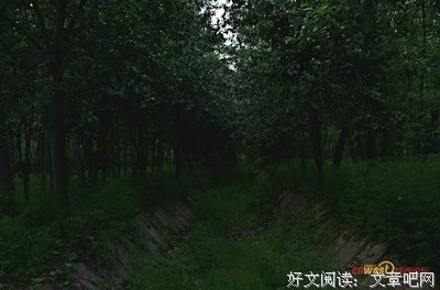 致15岁！丨第四十六章 夕阳西下