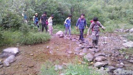恰似风吹过