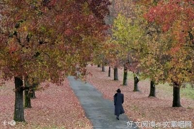 不懂安慰，就请用心聆听！
