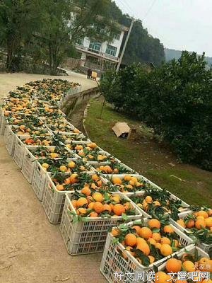 爱你的男人一定会带你去这些地方